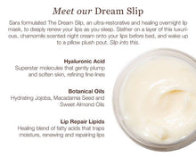 Load image into Gallery viewer, The Dream Slip® Overnight Lip Mask