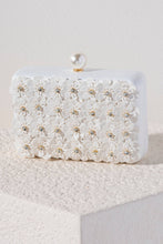 Load image into Gallery viewer, Fiorella Minaudiere Clutch