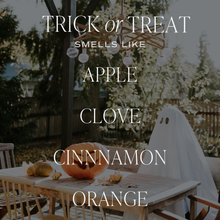 Load image into Gallery viewer, “Trick or Treat” Soy Candle