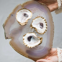 Load image into Gallery viewer, Oyster Jewelry Dish