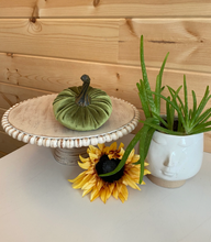Load image into Gallery viewer, Handmade Velvet Pumpkins