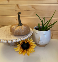 Load image into Gallery viewer, Handmade Velvet Pumpkins