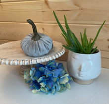 Load image into Gallery viewer, Handmade Velvet Pumpkins