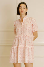 Load image into Gallery viewer, Rose Garden Floral Embroidered Mini Dress