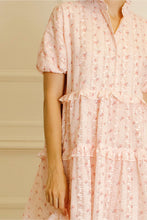 Load image into Gallery viewer, Rose Garden Floral Embroidered Mini Dress