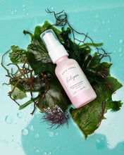 Load image into Gallery viewer, Eclipse Sheer Mineral Sunscreen