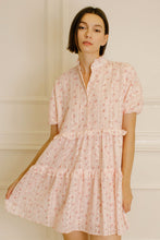 Load image into Gallery viewer, Rose Garden Floral Embroidered Mini Dress