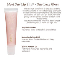 Load image into Gallery viewer, The Lip Slip® Original Gloss
