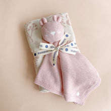 Load image into Gallery viewer, Blush Bear Organic Cotton Lovey
