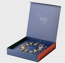 Load image into Gallery viewer, Zodiac Wine Charm Gift Set
