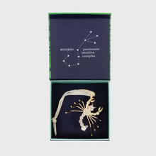 Load image into Gallery viewer, Zodiac Hanging Ornament &amp; Gift Box Set
