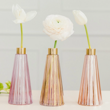 Load image into Gallery viewer, Tapered Colored Glass Bud Vases
